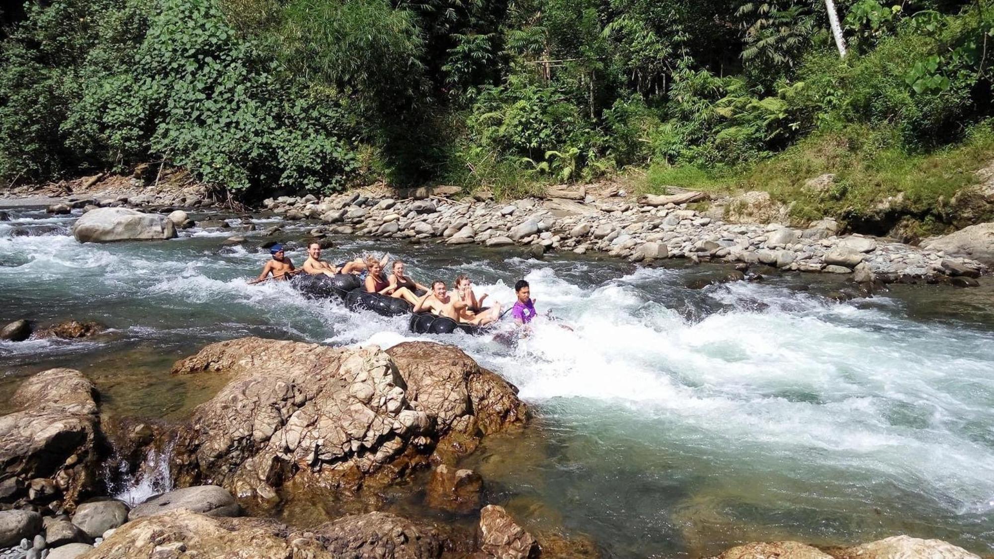 Gino'S Place - Guest House & Jungle Trekking Bukit Lawang Exterior foto