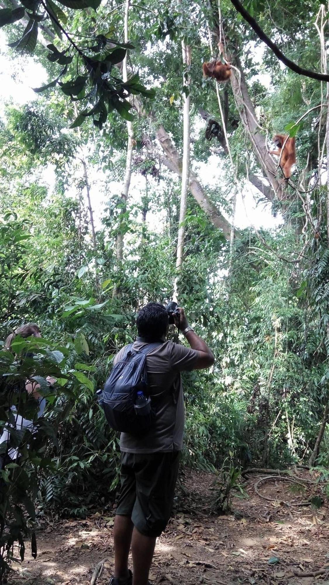 Gino'S Place - Guest House & Jungle Trekking Bukit Lawang Exterior foto