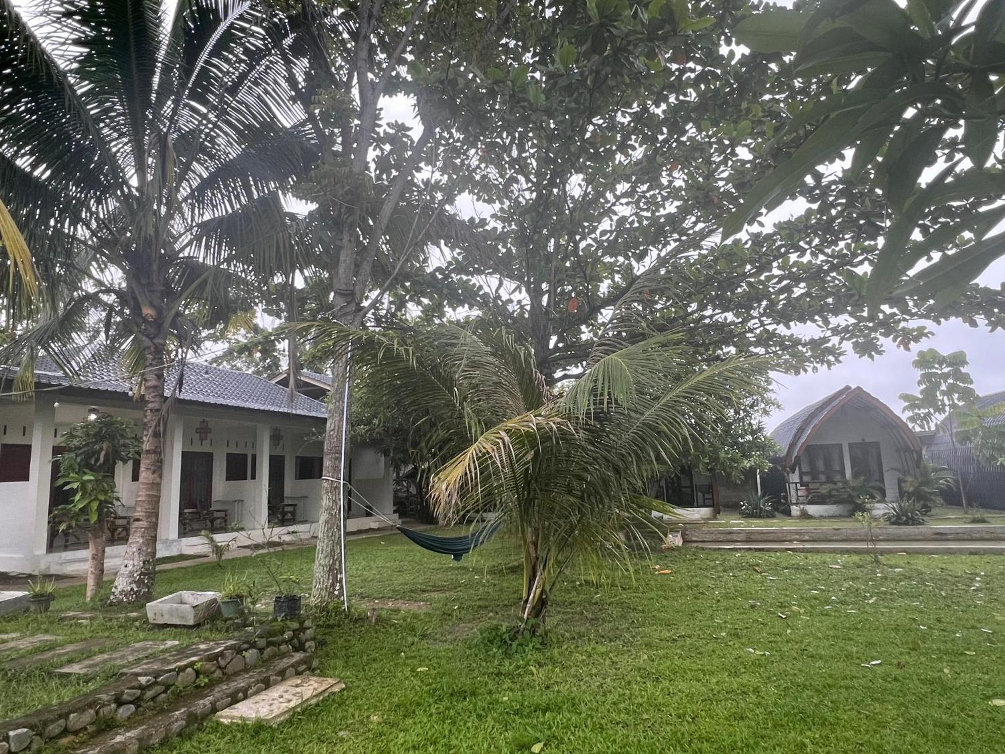 Gino'S Place - Guest House & Jungle Trekking Bukit Lawang Exterior foto